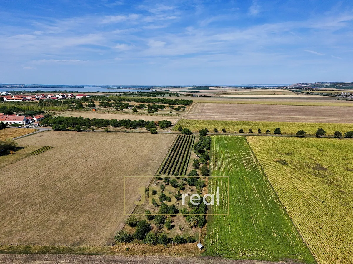 Prodej sadu, vinice 1711 m²